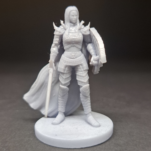 Human Paladin - Arabella