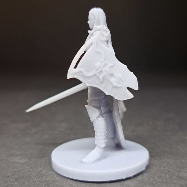 Human Paladin - Arabella - Image 2