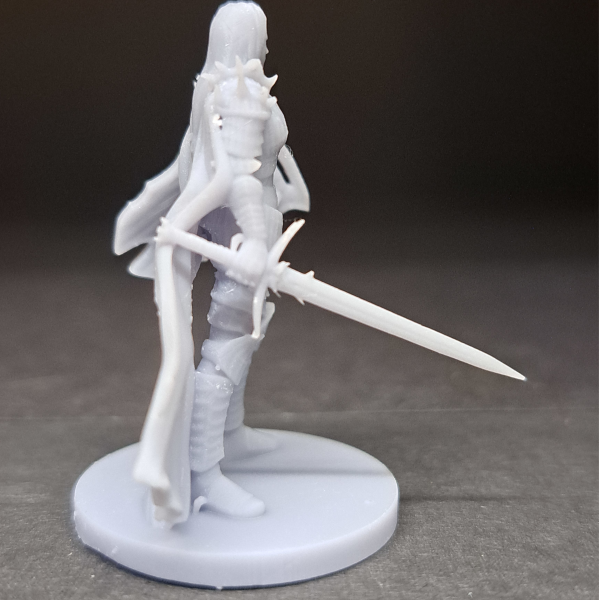 Human Paladin - Arabella - Image 4